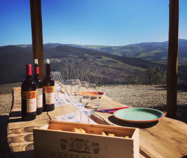 Un paseo por la bodega - Podere Le Ripi